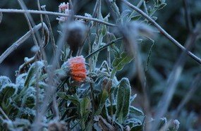 Temperatura cai ainda mais e chega a -8,8ºC em Bom Jardim da Serra
