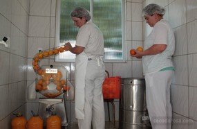 Pequenos negócios: fábrica de suco atende estabelecimentos do município e gera lucros para as famílias