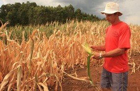 Estiagem: Joaçaba decreta situação de emergência