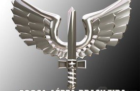 FAB divulga nota oficial sobre queda do caça em Zortéa