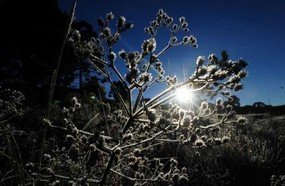 Temperaturas baixas registradas na madrugada desta sexta-feira 