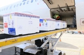 Estado recebe novo lote de vacinas contra Covid-19 nesta sexta-feira