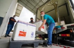 Governo distribui nova remessa de vacinas contra a Covid-19