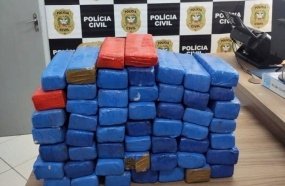 Polícia Civil apreende 32 kg de maconha durante operação em Caçador