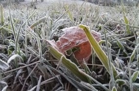 Serra catarinense amanhece congelada o com frio histórico 