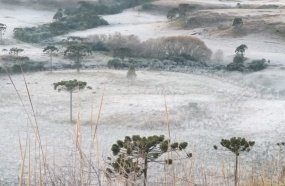 Serra amanhece com temperaturas negativas e geada