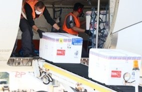 Novas doses da vacina AstraZeneca chegam a Santa Catarina 