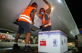 Estado distribui nesta quinta mais de 230 mil doses de vacina 