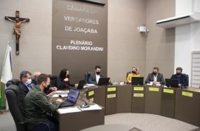 Pedrini quer punição para vereador investigado por receber diárias durante afastamento