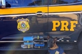 PRF localiza 11 kg de crack escondidos em painel de carro