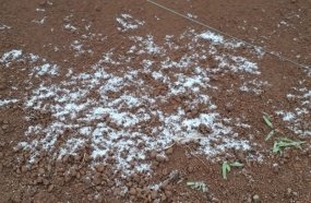 Chuva congelada é registrada no interior de Herval d´Oeste 