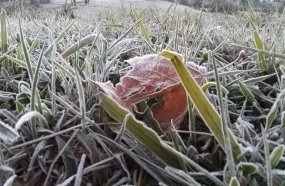 Início de semana gelado, com temperaturas negativas em SC