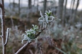 Sessenta e nove municípios tiveram temperaturas abaixo de zero