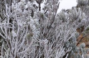 Baixas temperaturas batem recordes por dois dias seguidos 