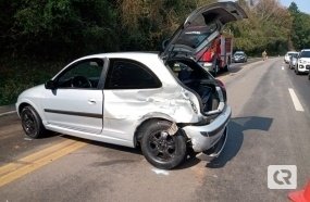 Raposa na pista provoca acidente na BR-282, em Joaçaba