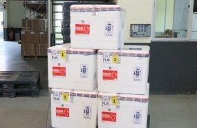 Estado distribui mais 237 mil doses da vacina contra a Covid-19