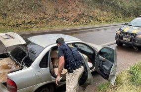PRF apreende veículo com 700 kg de camarão em Água Doce