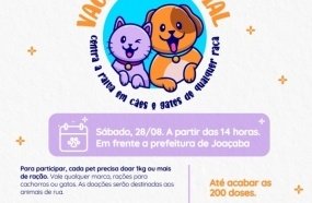 Joaçaba realizará vacinação social contra raiva em cães e gatos