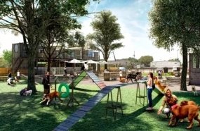Vereadora de Joaçaba sugere construção de parque para cães