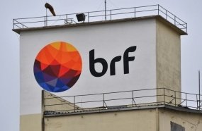 BRF oferece vagas em todas as unidades de Santa Catarina