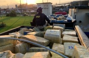 Ação conjunta faz maior apreensão de maconha da história em SC