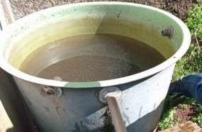 Joaçaba registra 46 focos do mosquito Aedes Aegypti