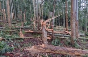 Tornado pode ter atingido o interior de Seara 