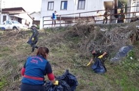 Programa de Controle da Dengue promove mutirão de limpeza 