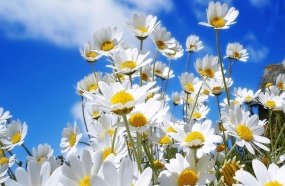 Primavera deve ser mais seca e quente no Oeste e Meio Oeste 