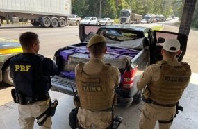 Ação conjunta apreende mais de uma tonelada de maconha