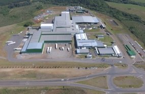 BRF de Campos Novos é habilitada a exportar para Singapura