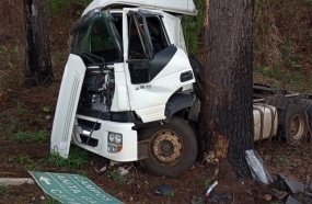 Cavalo mecânico atinge árvore após sair da pista 