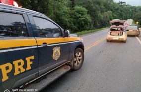 PRF apreende veículo com 144 kg de maconha em Joaçaba 