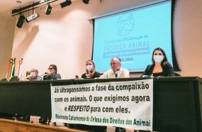 Entidades defendem criação de órgão estadual em defesa da causa animal