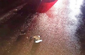 Polícia identifica motorista que fugiu após atropelar e matar idoso