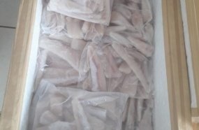 Vigilância Sanitária apreende 52 kg de peixes em Jaborá 