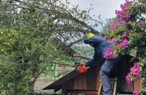 Rajada de vento derruba árvore sobre garagem em Ouro