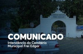 Temporal derruba árvore sobre túmulos do Cemitério Frei Edgar