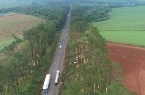 Temporal causa estragos em municípios do Oeste 