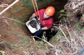 Bombeiros resgatam filhote de cachorro que caiu em poço 