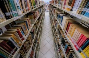 Estado contrata bibliotecários, psicólogos, assistentes sociais e nutricionistas 