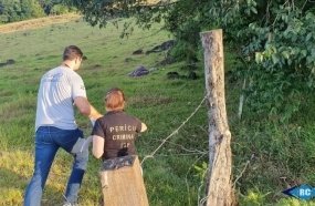 Homem encontrado morto em potreiro foi assassinado a tiros 