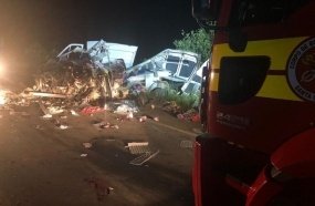 Condutor de van perde a vida após colisão na BR-470 