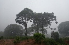 Temporal com granizo é registrado em Erval Velho 