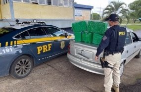Dupla é presa com quase 44 quilos de maconha na BR-153 