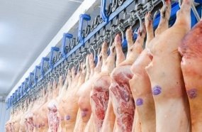 SC comemora abertura do mercado canadense para a carne suína 