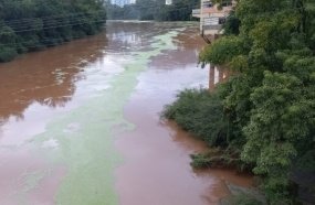 Águas do Rio do Peixe amanhecem com algas 