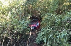 Veículo ocupado por casal sai da pista na SC-355 