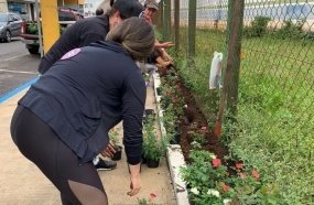 Mulheres do PL promovem plantio de rosas na área central de Herval