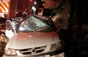 Motorista fica ferido após carro colidir em árvore na BR-470